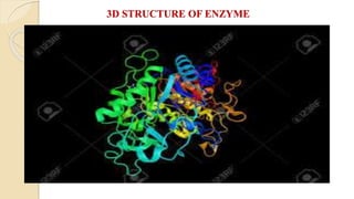 3D STRUCTURE OF ENZYME
 