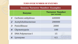 TURN OVER NUMBER OF ENZYMES
 