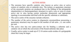 ACTIVE SITES
 The enzymes have specific catalytic sites known as active sites or active
centres or catalytic sites or substrate sites. The tertiary or quaternary structure
of the enzymatic proteins are produced due to the folding of the polypeptide
chain(tertiary) or chains(quaternary structure) in such a way or ways to create
active site or sites having correct molecular dimensions and appropriate
topology to accommodate and bind with the specific substrate or substrates.
 The active centre of the enzymes include cofactors.
 The number of the active centres in oligometric enzymes(those possessing a
quaternary structure) may be equal to the number of sub units , i.e. one centre
per unit
 The active sites has two parts-contact site for binding a substrate and a
catalytic site at which the conversion of the bound substrate take place
 Usually, active centre is made up of 12-16 amino acids residue of a polypeptide
chain but it may be larger.
 
