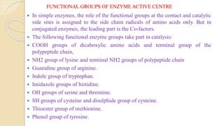 FUNCTIONAL GROUPS OF ENZYME ACTIVE CENTRE
 In simple enzymes, the role of the functional groups at the contact and catalytic
side sites is assigned to the side chain radicals of amino acids only. But in
conjugated enzymes, the leading part is the Co-factors.
 The following functional enzyme groups take part in catalysis:
 COOH groups of dicaboxylic amino acids and terminal group of the
polypeptide chain,
 NH2 group of lysine and terminal NH2 groups of polypeptide chain
 Guanidine group of arginine.
 Indole group of tryptophan.
 Imidazole groups of histidine.
 OH groups of serine and threonine.
 SH groups of cysteine and disulphide group of cysteine.
 Thioester group of methionine.
 Phenol group of tyrosine.
 