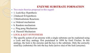 ENZYME SUBSTRATE FORMATION
 Two main theories proposed in this regard-
 1. Lock-Key Hypothesis
 2.Induced fit hypothesis
 3.Multisubstrate Reactions
 a. Ordered mechanism
 b. Random mechanism
 c. Ping pong Mechanism
 d. Theorell Mechanism
 LOCK & KEY HYPOTHESIS
 The specific action of an enzyme with a single substrate can be explained using
a Lock and Key analogy first postulated in 1894 by Emil Fischer. In this
analogy, the lock is the enzyme and the key is the substrate. Only the correctly
sized key (substrate) fits into the key hole (active site) of the lock (enzyme).
 