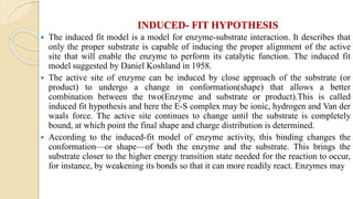 INDUCED- FIT HYPOTHESIS
 The induced fit model is a model for enzyme-substrate interaction. It describes that
only the proper substrate is capable of inducing the proper alignment of the active
site that will enable the enzyme to perform its catalytic function. The induced fit
model suggested by Daniel Koshland in 1958.
 The active site of enzyme can be induced by close approach of the substrate (or
product) to undergo a change in conformation(shape) that allows a better
combination between the two(Enzyme and substrate or product).This is called
induced fit hypothesis and here the E-S complex may be ionic, hydrogen and Van der
waals force. The active site continues to change until the substrate is completely
bound, at which point the final shape and charge distribution is determined.
 According to the induced-fit model of enzyme activity, this binding changes the
conformation—or shape—of both the enzyme and the substrate. This brings the
substrate closer to the higher energy transition state needed for the reaction to occur,
for instance, by weakening its bonds so that it can more readily react. Enzymes may
 