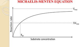 MICHAELIS-MENTEN EQUATION
 