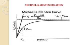 MICHAELIS-MENTEN EQUATION
 