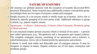 NATURE OF ENZYMES
 All enzymes are globular proteins with the exception of recently discovered RNA
enzymes( Ribozymes). Some enzymes may additionally contain a non-protein group.
Accordingly there are two types of enzymes, simple and conjugate.
 Simple Enzyme: It is an enzyme which is wholly made up of protein. Active site is
formed by specific grouping of its own amino acids. Additional substance or group
is absent, e.g., pepsin, trypsin, unease.
 Apoenzyme + Cofactor= Holoenzyme, Cofactor either Coenzyme, Prosthetic group
or Metal activator
 It is an enzyme(Complex protein enzyme) which is formed of two parts— a protein
part called apoenzyme (e.g., flavoprotein) and a non-protein part named cofactor.
The complete conjugate enzyme, consisting of an apoenzyme and a cofactor, is
called holoenzyme. Active site is formed jointly by apoenzyme and cofactor.
 Cofactor is small, heat stable and dialyzable part of conjugate enzyme. It may be
inorganic or organic in nature. Organic cofactors are of two types, coenzymes and
prosthetic groups.
 