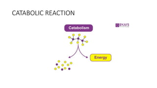 CATABOLIC REACTION
 