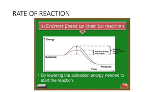 RATE OF REACTION
 
