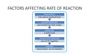 FACTORS AFFECTING RATE OF REACTION
 