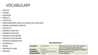 VOCABULARY
• CATALYST
• ENZYME
• SUBSTRATE
• PRODUCT
• ACTIVE SITE
• COMPLEMENTARY SHAPE OF ENZYME AND SUBSTRATE
• ENZYME-SUBSTRATE COMPLEX
• SPECIFICITY
• ANABOLIC REACTION
• CATABOLIC REACTION
• INTRACELLULAR ENZYME
• EXTRACELLULAR ENZYME
• OPTIMUM TEMPERATURE
• OPTIMUM pH
• PEPSIN
• PANCREATIC LIPASE
• AMYLASE
 