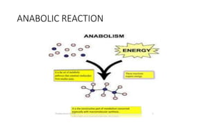 ANABOLIC REACTION
 