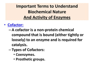 Important Terms to Understand
Biochemical Nature
And Activity of Enzymes
• Cofactor:
–A cofactor is a non-protein chemical
compound that is bound (either tightly or
loosely) to an enzyme and is required for
catalysis.
–Types of Cofactors:
• Coenzymes.
• Prosthetic groups.
 