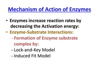 Mechanism of Action of Enzymes
• Enzymes increase reaction rates by
decreasing the Activation energy:
• Enzyme-Substrate Interactions:
‒Formation of Enzyme substrate
complex by:
‒Lock-and-Key Model
‒Induced Fit Model
 