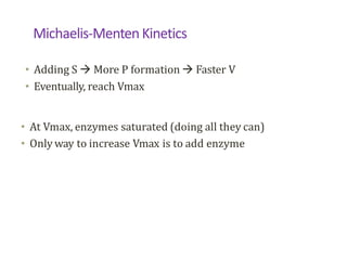 Michaelis-Menten Kinetics
• Adding S  More P formation  Faster V
• Eventually, reach Vmax
 