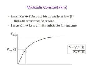 V = Vm* [S]
Km + [S]
Michaelis Constant (Km)
• Small Km  Substrate binds easily at low [S]
• High affinity substrate for enzyme
• Large Km  Low affinity substrate for enzyme
Vmax
Vmax/2
 
