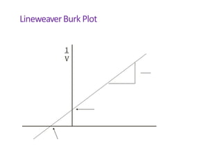 LineweaverBurk Plot
1
V
 