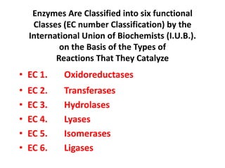 Enzymes Are Classified into six functional
Classes (EC number Classification) by the
International Union of Biochemists (I.U.B.).
on the Basis of the Types of
Reactions That They Catalyze
• EC 1. Oxidoreductases
• EC 2. Transferases
• EC 3. Hydrolases
• EC 4. Lyases
• EC 5. Isomerases
• EC 6. Ligases
 
