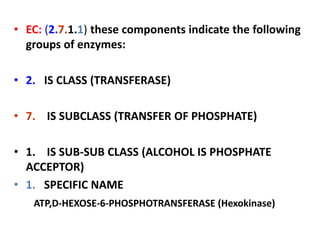 • EC: (2.7.1.1) these components indicate the following
groups of enzymes:
• 2. IS CLASS (TRANSFERASE)
• 7. IS SUBCLASS (TRANSFER OF PHOSPHATE)
• 1. IS SUB-SUB CLASS (ALCOHOL IS PHOSPHATE
ACCEPTOR)
• 1. SPECIFIC NAME
ATP,D-HEXOSE-6-PHOSPHOTRANSFERASE (Hexokinase)
 