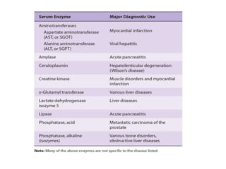 enzymes.ppt