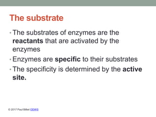 The substrate
• The substrates of enzymes are the
reactants that are activated by the
enzymes
• Enzymes are specific to th...