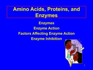 1
Amino Acids, Proteins, and
Enzymes
Enzymes
Enzyme Action
Factors Affecting Enzyme Action
Enzyme Inhibition
 