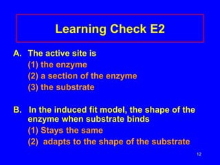12
Learning Check E2
A. The active site is
(1) the enzyme
(2) a section of the enzyme
(3) the substrate
B. In the induced fit model, the shape of the
enzyme when substrate binds
(1) Stays the same
(2) adapts to the shape of the substrate
 