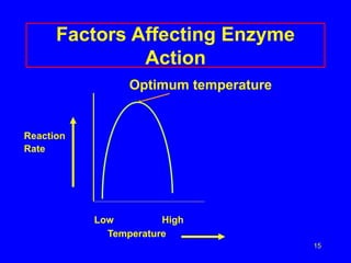15
Factors Affecting Enzyme
Action
Optimum temperature
Reaction
Rate
Low High
Temperature
 