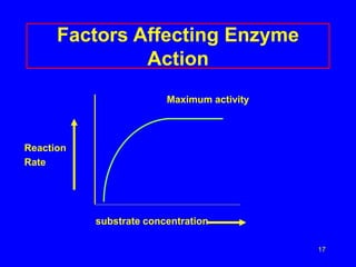 17
Factors Affecting Enzyme
Action
Maximum activity
Reaction
Rate
substrate concentration
 