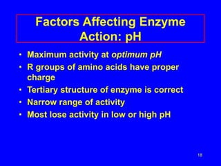 18
Factors Affecting Enzyme
Action: pH
• Maximum activity at optimum pH
• R groups of amino acids have proper
charge
• Tertiary structure of enzyme is correct
• Narrow range of activity
• Most lose activity in low or high pH
 