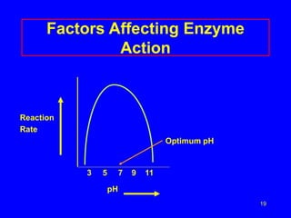 19
Factors Affecting Enzyme
Action
Reaction
Rate
Optimum pH
3 5 7 9 11
pH
 