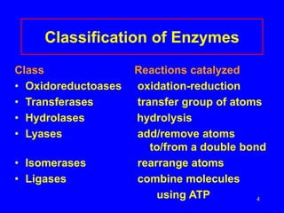 4
Classification of Enzymes
Class Reactions catalyzed
• Oxidoreductoases oxidation-reduction
• Transferases transfer group of atoms
• Hydrolases hydrolysis
• Lyases add/remove atoms
to/from a double bond
• Isomerases rearrange atoms
• Ligases combine molecules
using ATP
 