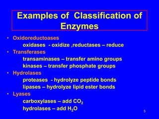 5
Examples of Classification of
Enzymes
• Oxidoreductoases
oxidases - oxidize ,reductases – reduce
• Transferases
transaminases – transfer amino groups
kinases – transfer phosphate groups
• Hydrolases
proteases - hydrolyze peptide bonds
lipases – hydrolyze lipid ester bonds
• Lyases
carboxylases – add CO2
hydrolases – add H2O
 