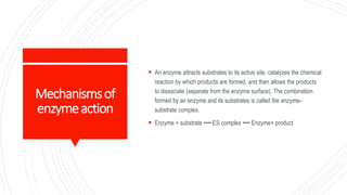 Mechanismsof
enzymeaction
 An enzyme attracts substrates to its active site, catalyzes the chemical
reaction by which products are formed, and then allows the products
to dissociate (separate from the enzyme surface). The combination
formed by an enzyme and its substrates is called the enzyme–
substrate complex.
 Enzyme + substrate •••• ES complex •••• Enzyme+ product
 