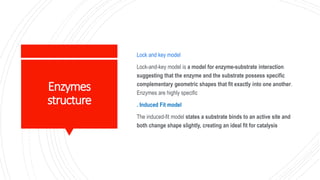 Enzymes
structure
Lock and key model
Lock-and-key model is a model for enzyme-substrate interaction
suggesting that the enzyme and the substrate possess specific
complementary geometric shapes that fit exactly into one another.
Enzymes are highly specific
. Induced Fit model
The induced-fit model states a substrate binds to an active site and
both change shape slightly, creating an ideal fit for catalysis
 