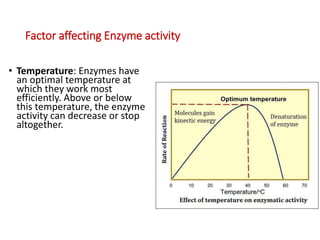 Factor affecting Enzyme activity
• Temperature: Enzymes have
an optimal temperature at
which they work most
efficiently. Above or below
this temperature, the enzyme
activity can decrease or stop
altogether.
 