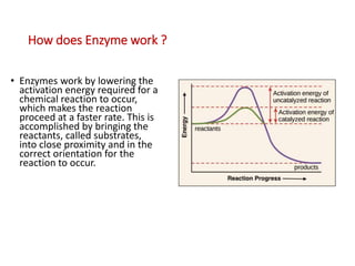 How does Enzyme work ?
• Enzymes work by lowering the
activation energy required for a
chemical reaction to occur,
which makes the reaction
proceed at a faster rate. This is
accomplished by bringing the
reactants, called substrates,
into close proximity and in the
correct orientation for the
reaction to occur.
 