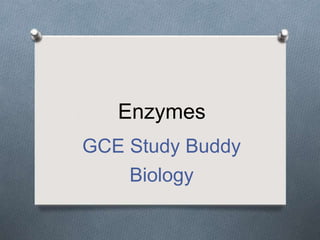 Enzymes
GCE Study Buddy
Biology
 