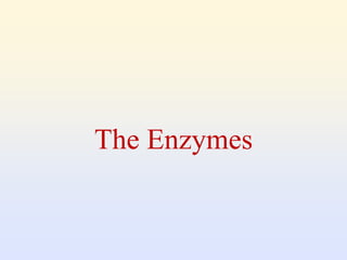 The Enzymes
 
