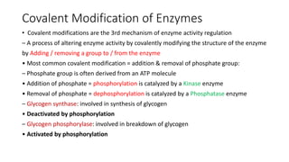 Enzymes.pptx