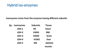 Enzymes.pptx