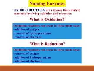 OXIDOREDUCTASES are enzymes that catalyse
reactions involving oxidation and reduction
What is Oxidation?
Oxidation reactions can occur in three main ways:
•addition of oxygen
•removal of hydrogen atoms
•removal of electrons
What is Reduction?
Oxidation reactions can occur in three main ways:
•removal of oxygen
•addition of hydrogen atoms
•addition of electrons
Naming Enzymes
 