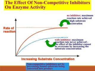 no inhibitor; maximum
reaction rate achieved
at high substrate
concentration
with inhibitor; maximum
reaction rate never achieved -
the effect of the inhibitor cannot
be overcome by increasing the
substrate concentration
The Effect Of Non-Competitive Inhibitors
On Enzyme Activity
Non-competitive inhibitors act by
preventing bound substrate being
converted into product
 