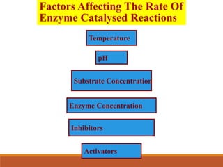 Factors Affecting The Rate Of
Enzyme Catalysed Reactions
Temperature
pH
Substrate Concentration
Enzyme Concentration
Inhibitors
Activators
 