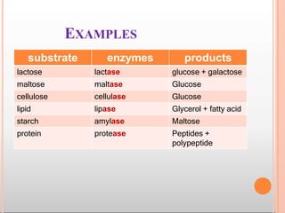 EXAMPLES
substrate enzymes products
lactose lactase glucose + galactose
maltose maltase Glucose
cellulose cellulase Glucose
lipid lipase Glycerol + fatty acid
starch amylase Maltose
protein protease Peptides +
polypeptide
 