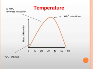Rate
of
Reaction
Temperature
40oC - denatures
5- 40oC
Increase in Activity
0 10 20 30 40 50 60
<5oC - inactive
 