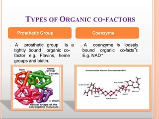 TYPES OF ORGANIC CO-FACTORS
Prosthetic Group Coenzyme
o A prosthetic group is a o A coenzyme is loosely
tightly bound organic co- bound organic co-facto+r.
factor e.g. Flavins, heme E.g. NAD+
groups and biotin.
 