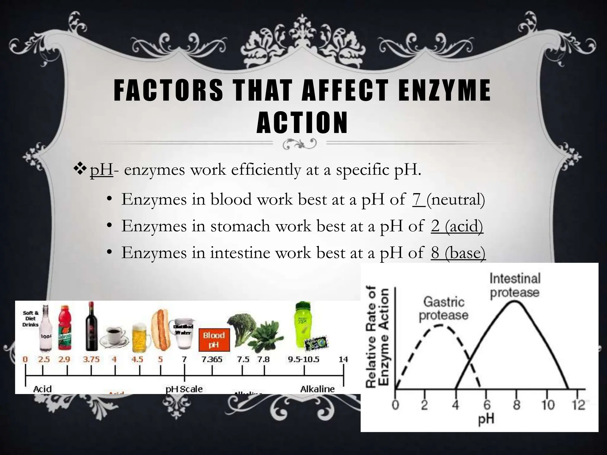 Enzymes Properties and Uses- For Grade 9 | PPT