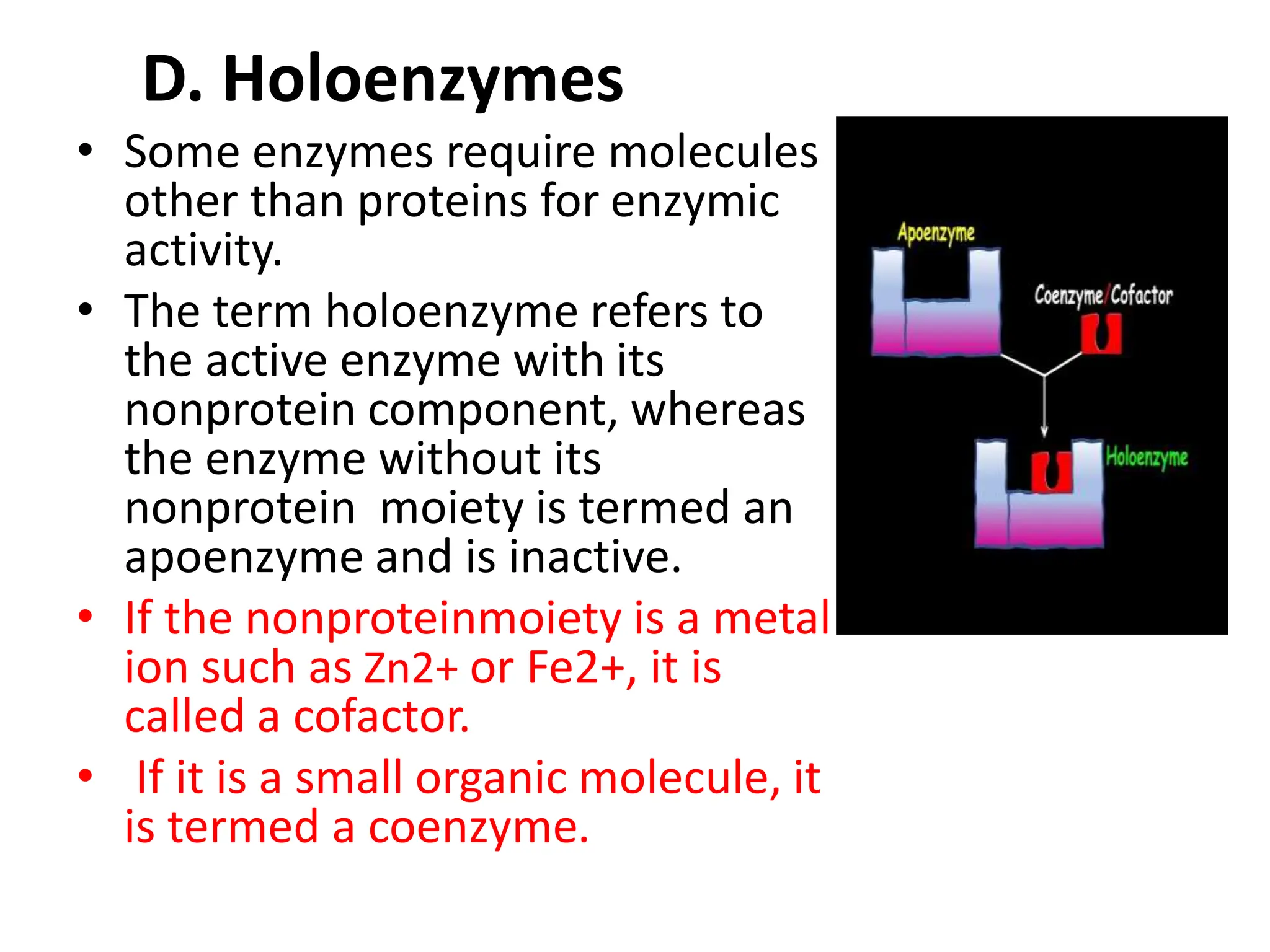 Enzymes definition and classification introduction .pptx