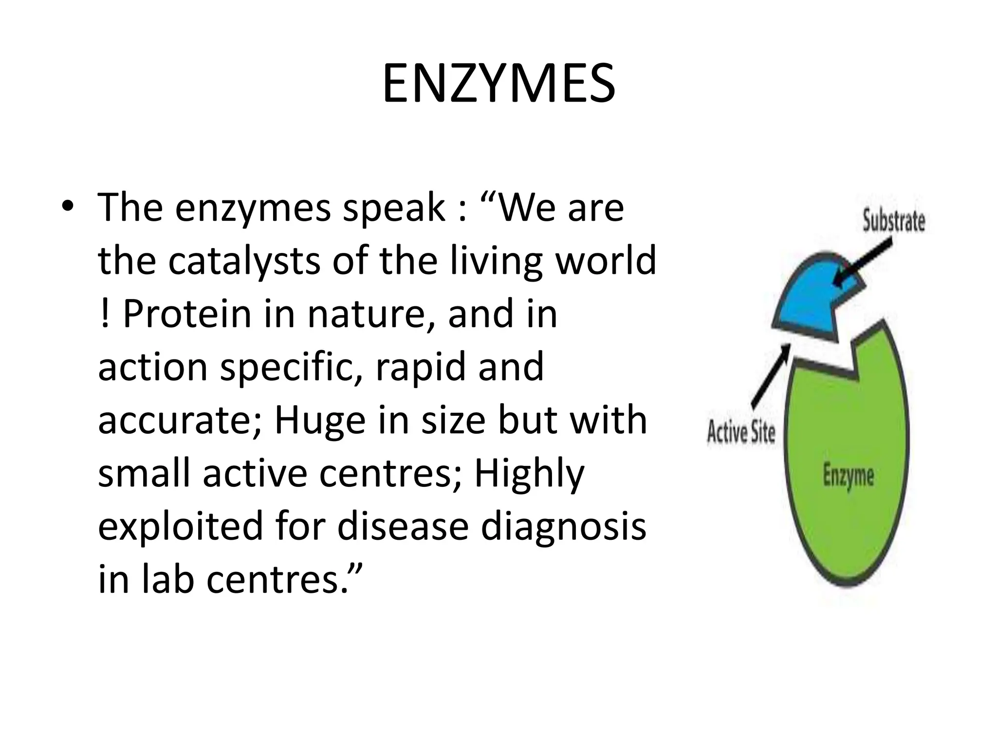 Enzymes definition and classification introduction .pptx