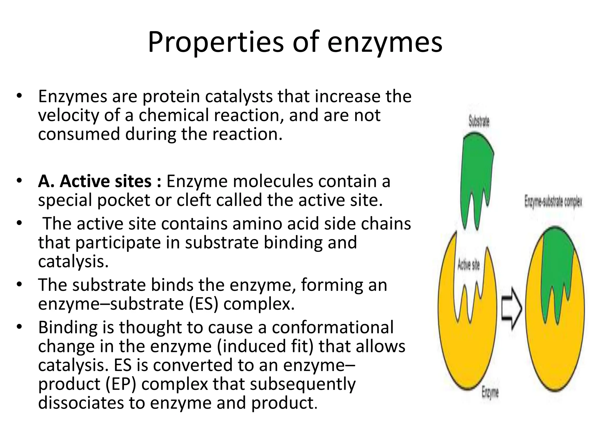 Enzymes definition and classification introduction .pptx