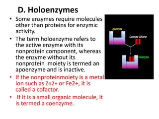 D. Holoenzymes
• Some enzymes require molecules
other than proteins for enzymic
activity.
• The term holoenzyme refers to
the active enzyme with its
nonprotein component, whereas
the enzyme without its
nonprotein moiety is termed an
apoenzyme and is inactive.
• If the nonproteinmoiety is a metal
ion such as Zn2+ or Fe2+, it is
called a cofactor.
• If it is a small organic molecule, it
is termed a coenzyme.
 